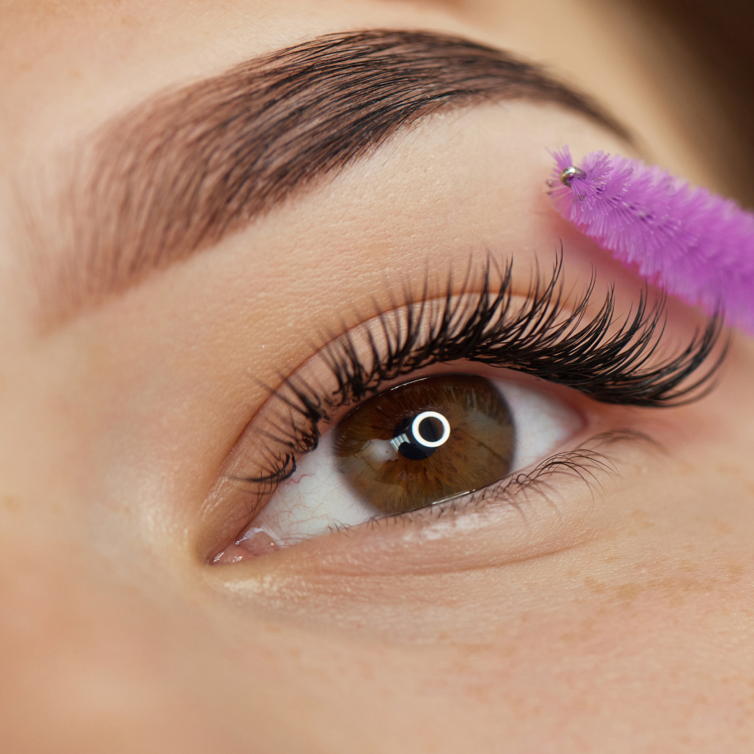 Eyelash and Eyebrow Tint and Individual Lashes Installation Kit