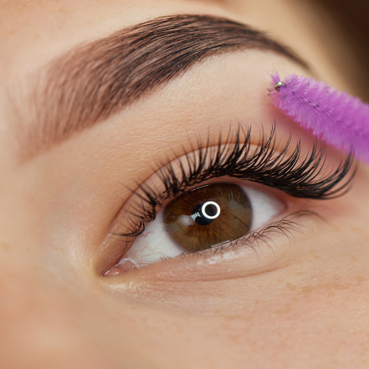 Eyelash and Eyebrow Tint and Individual Lashes Installation Kit